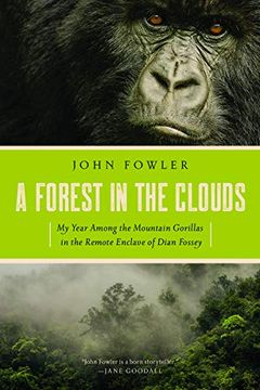 portada A Forest in the Clouds: My Year Among the Mountain Gorillas in the Remote Enclave of Dian Fossey (in English)