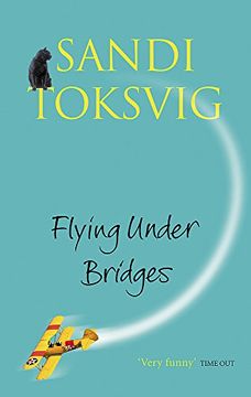 portada Flying Under Bridges