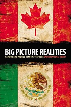 portada Big Picture Realities: Canada and Mexico at the Crossroads (en Inglés)