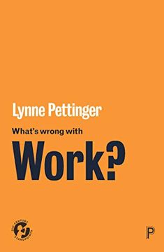 portada What’S Wrong With Work? (21St Century Standpoints) (in English)