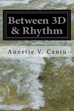 portada Between 3D & Rhythm: Thirty Perspectives (en Inglés)