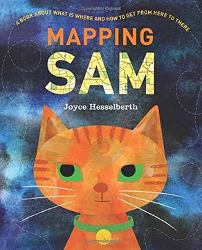 portada Mapping sam (en Inglés)