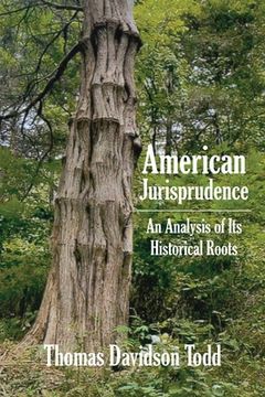 portada American Jurisprudence: An Analysis of Its Historical Roots (in English)