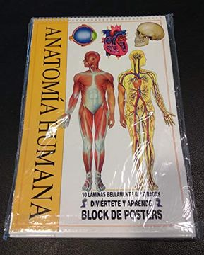 portada Mini Diccionario Anatomia