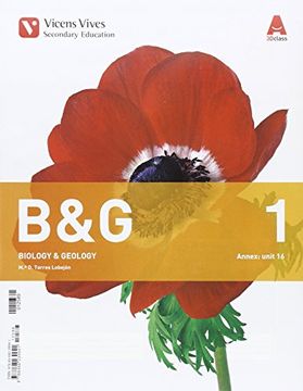 portada B&G 1 TRIM+ 3CD'S+ANNEX GROUP B 3D CLASS