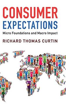 portada Consumer Expectations: Micro Foundations and Macro Impact (in English)