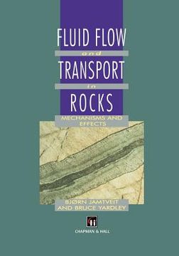 portada fluid flow and transport in rocks: mechanisms and effects (en Inglés)