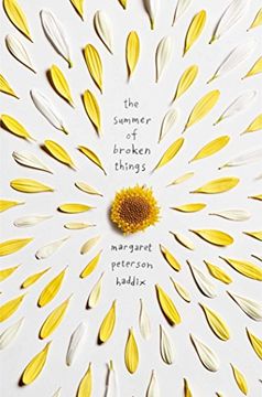 portada The Summer of Broken Things (en Inglés)