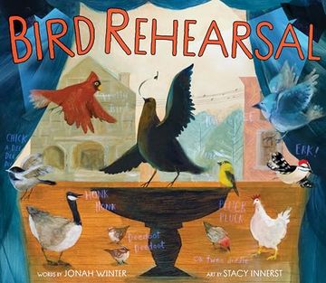 portada Bird Rehearsal: A Picture Book (in English)
