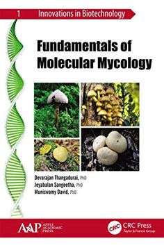 portada Fundamentals of Molecular Mycology (in English)