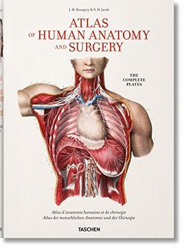 portada Atlas d'anatomie humaine et de chirurgie (Fp) (in English)