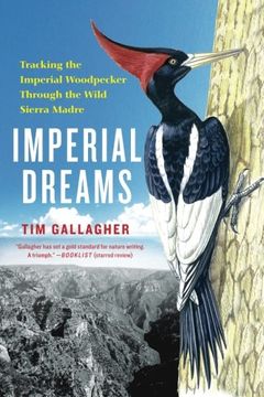 portada Imperial Dreams: Tracking the Imperial Woodpecker Through the Wild (in English)