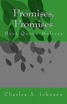 portada promises, promises (en Inglés)