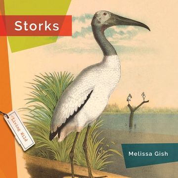 portada Storks (in English)