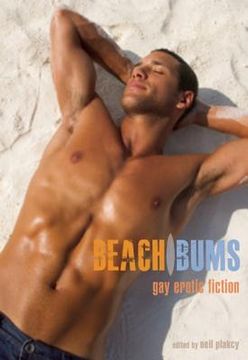 portada beach bums: gay erotic fiction