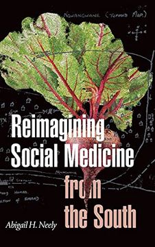 portada Reimagining Social Medicine From the South (en Inglés)