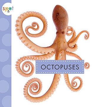 portada Octopuses (Spot Ocean Animals) 