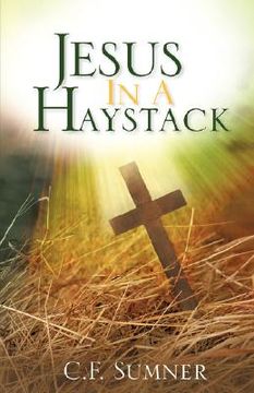 portada jesus in a haystack (en Inglés)