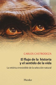 portada El Flujo de la Historia y el Sentido de la Vida (in Spanish)