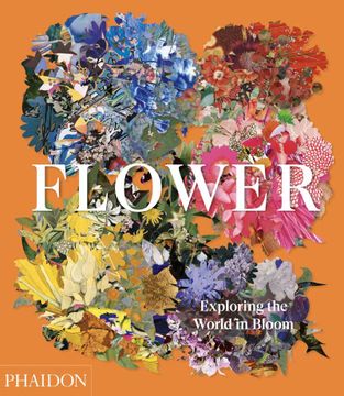 portada Flower: Exploring the World in Bloom (in English)