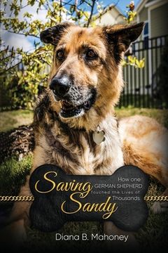 portada Saving Sandy (en Inglés)