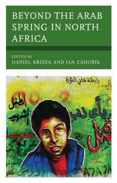 portada Beyond the Arab Spring in North Africa