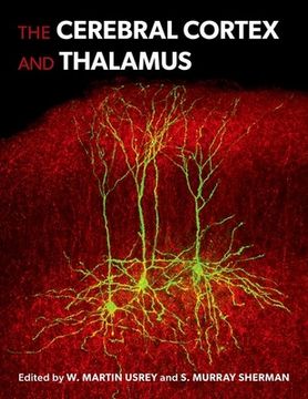 portada The Cerebral Cortex and Thalamus (en Inglés)