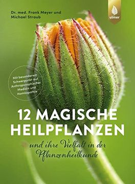 portada 12 Magische Heilpflanzen (in German)