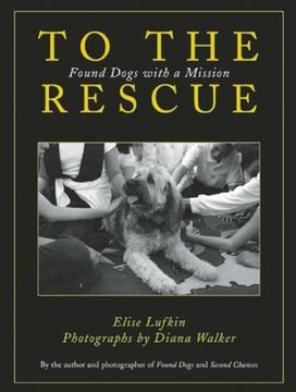portada To the Rescue: Found Dogs with a Mission (en Inglés)