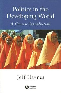 portada politics in the developing world: a concise introduction (en Inglés)