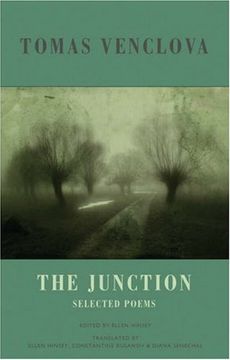 portada The Junction: Selected Poems (en Inglés)