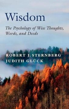 portada Wisdom: The Psychology of Wise Thoughts, Words, and Deeds (in English)