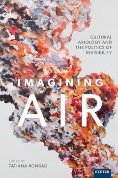 portada Imagining Air: Cultural Axiology and the Politics of Invisibility (en Inglés)