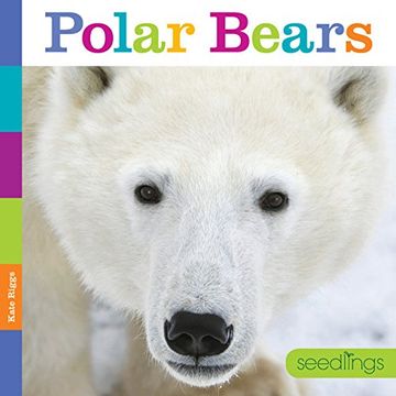 portada Seedlings: Polar Bears (in English)