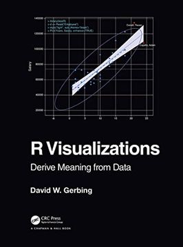 portada R Visualizations: Derive Meaning From Data (in English)