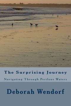 portada The Surprising Journey: Navigating Through Perilous Waters (en Inglés)