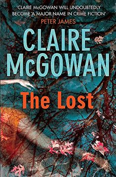 portada The Lost (Paula Maguire 1): A Gripping Irish Crime Thriller With Explosive Twists (Paula Mcguire 1) 