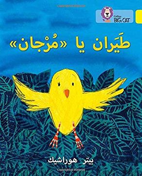 portada Fly, Murjan! Level 3 (Kg) (Collins big cat Arabic Reading Programme) (en Inglés)