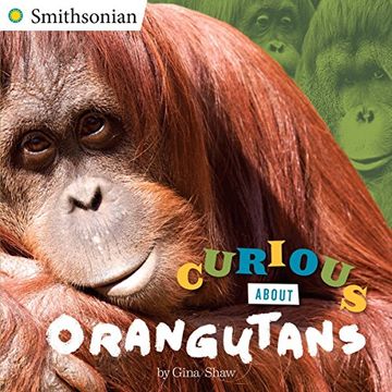 portada Curious About Orangutans (Smithsonian) (en Inglés)