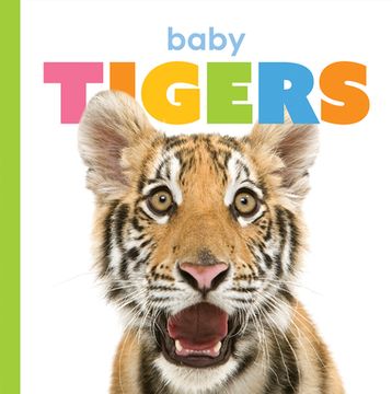 portada Baby Tigers (in English)