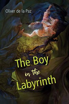portada The Boy in the Labyrinth: Poems (en Inglés)