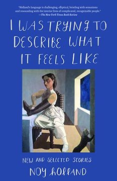 portada I was Trying to Describe What it Feels Like: New and Selected Stories (en Inglés)