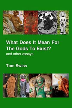 portada What Does it Mean for the Gods to Exist? (en Inglés)