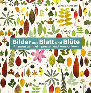 portada Bilder aus Blatt und Blüte: Pflanzen Sammeln, Pressen und Komponieren (in German)