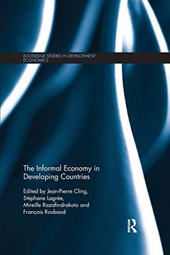 portada The Informal Economy in Developing Countries (en Inglés)