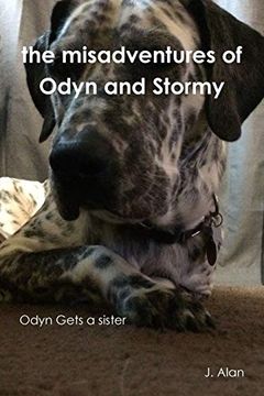 portada The Misadventures of Odyn and Stormy