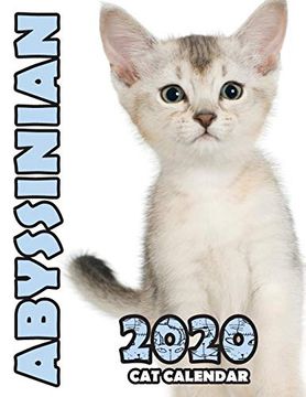 portada Abyssinian 2020 cat Calendar (in English)