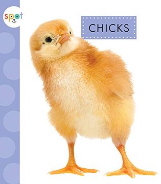 portada Chicks (Spot Baby Farm Animals) (en Inglés)
