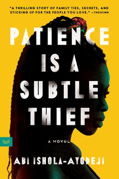 portada Patience is a Subtle Thief: A Novel 