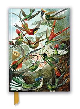 portada Ernst Haeckel: Hummingbirds (Foiled Journal) (Flame Tree Notebooks) (in English)